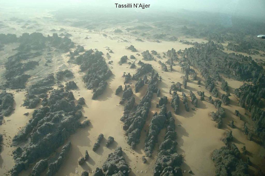 Algerie mars 2010_000021.jpg